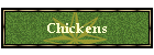Chickens